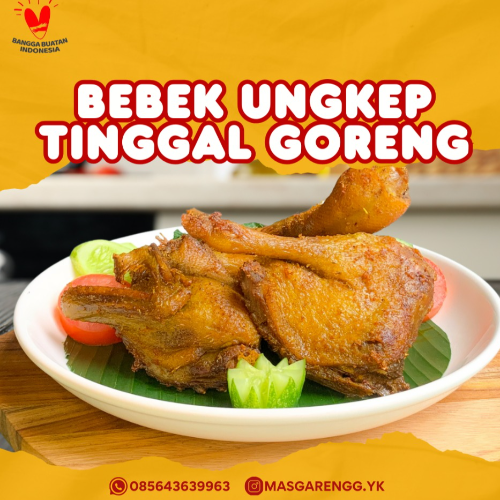 67627bfced93d_produk_a_2024_12_18_thumb.png